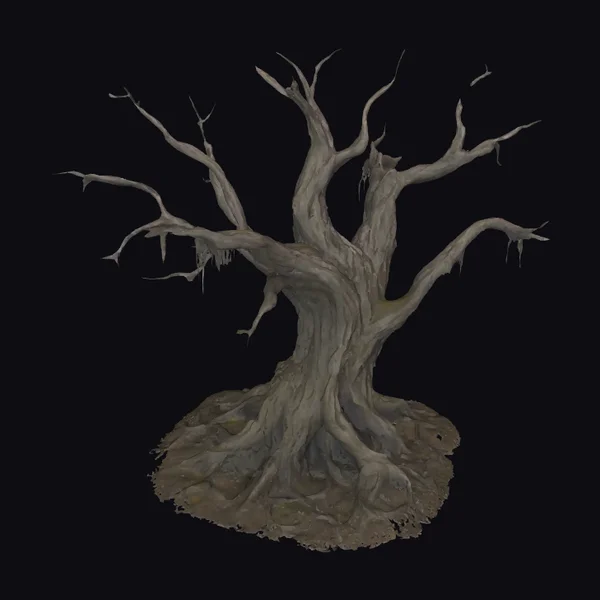 Dead Tree with Exposed Roots