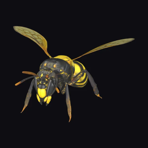 Yellow Jacket Insect