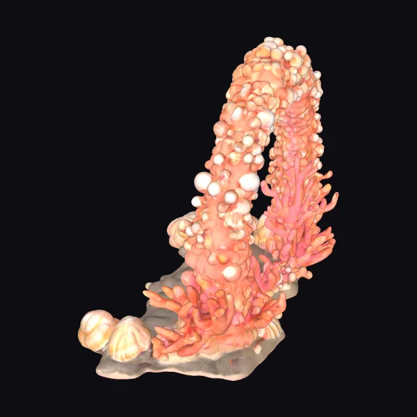 Vibrant Coral Archway