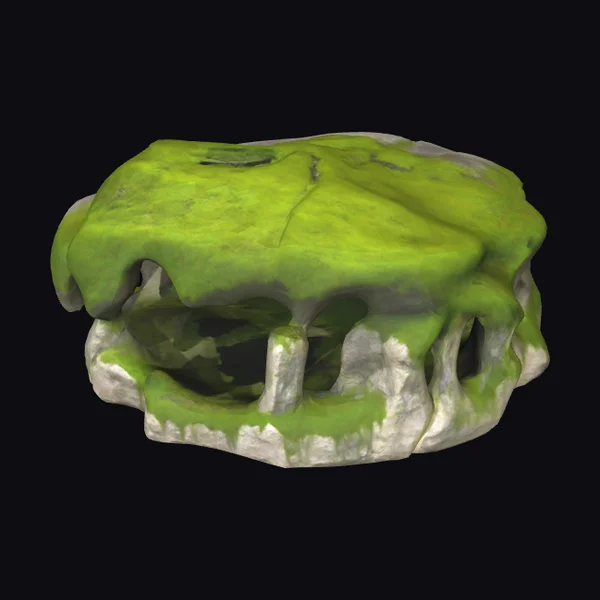 Mossy Stone Cave Entrance