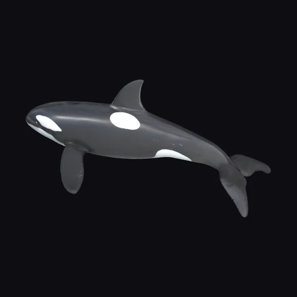 Detailed Orca Model