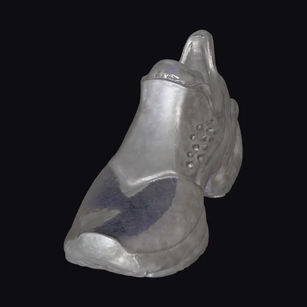 Metallic Futuristic Sneaker