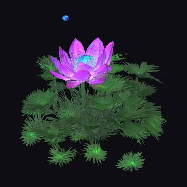 Glowing Lotus Plant
