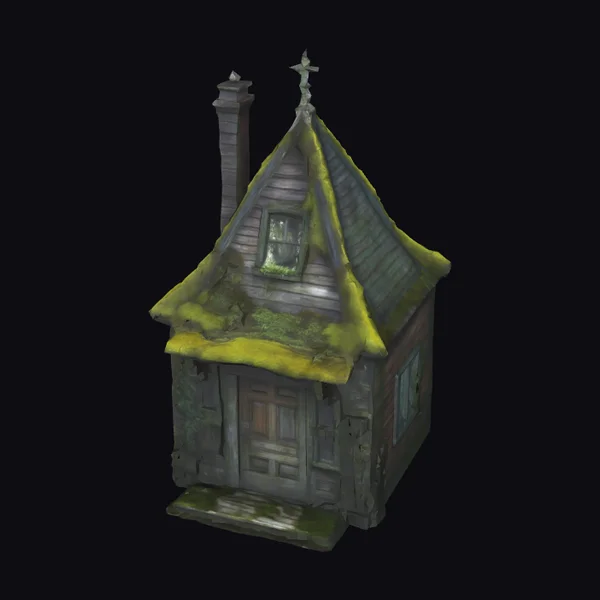 Abandoned Mossy Small House