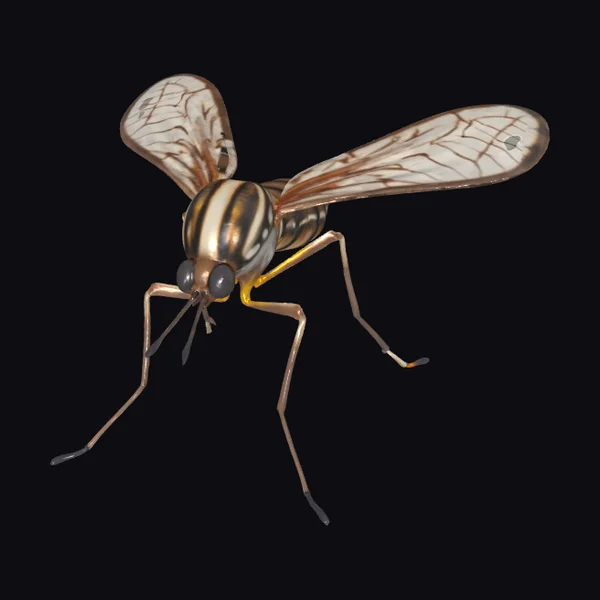 Flying Mosquito Insect