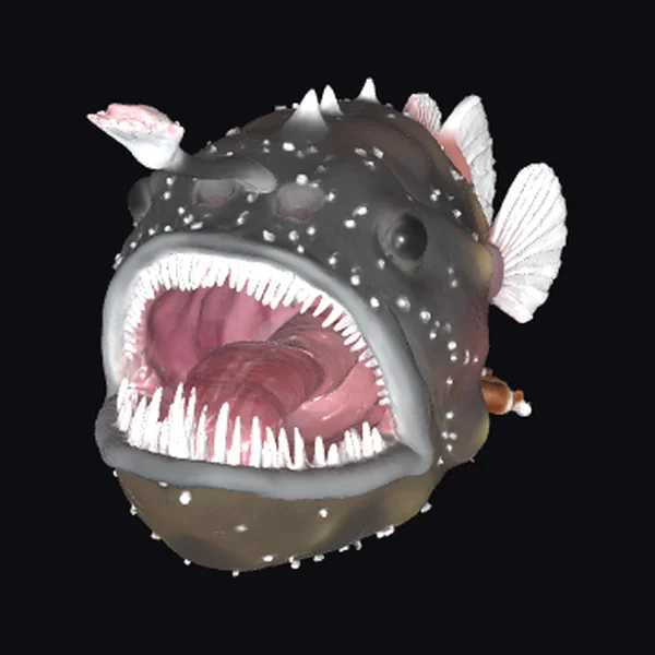 Anglerfish Deep Sea