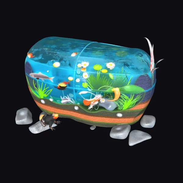 Freshwater Aquarium Scene