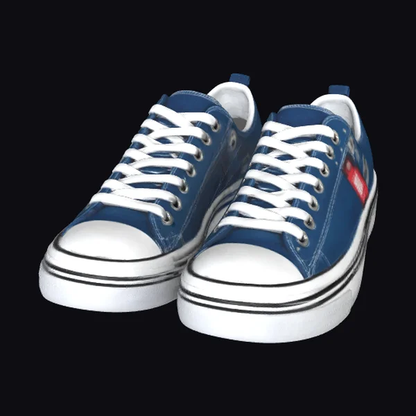 Blue Canvas Sneakers Duo