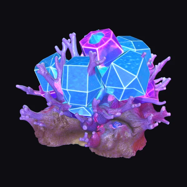Geometric Coral Reef Structure