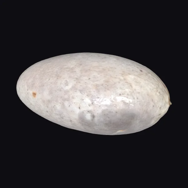 Smooth Stone Oval