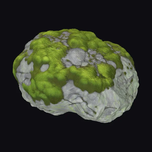 Mossy Granite Boulder