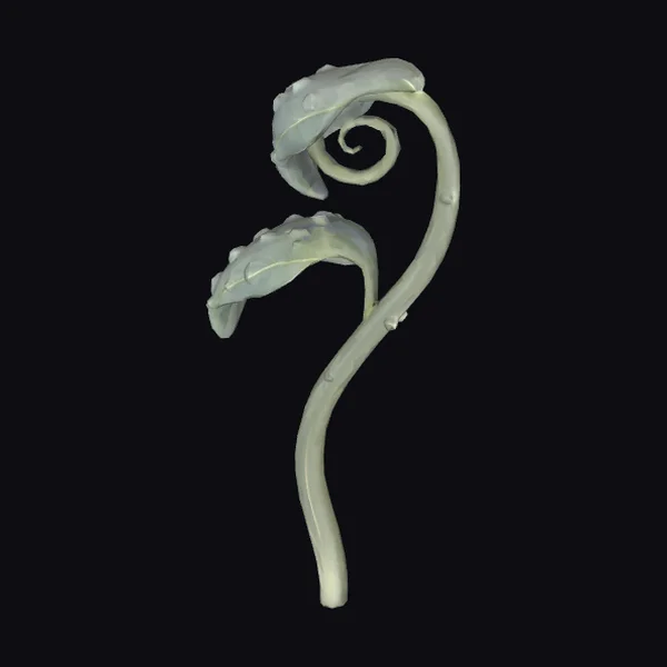 Glowing Seedling Sprout