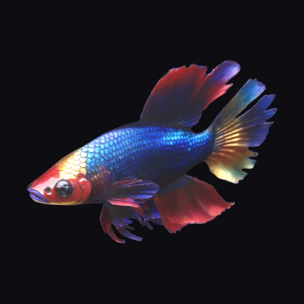 Vibrant Betta Fish