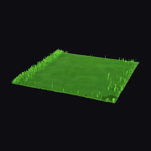 Manicured Grass Plane