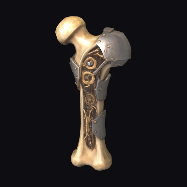 Biomechanical Femur Model