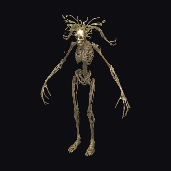 Organic Skeletal Figure