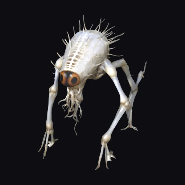 Skeletal Spider Creature