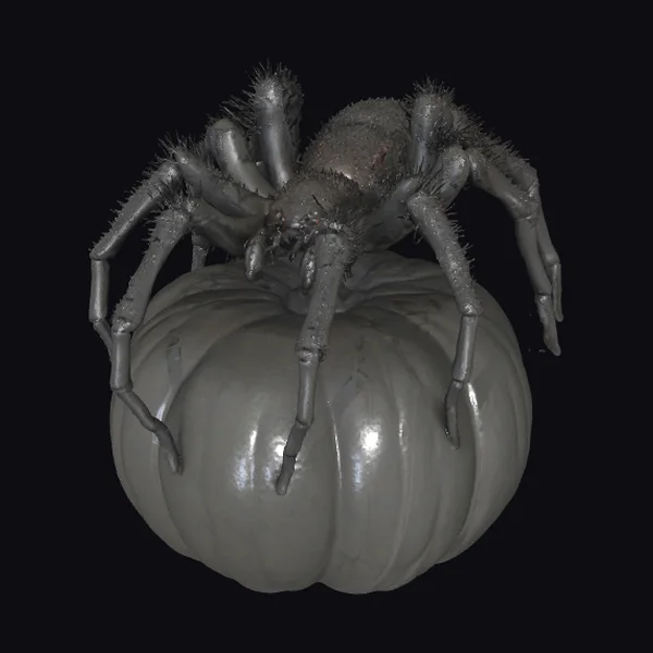 Giant Black Spider Decoration