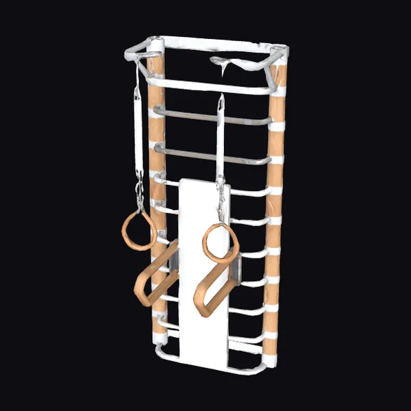 Wall Mounted Fitness Station