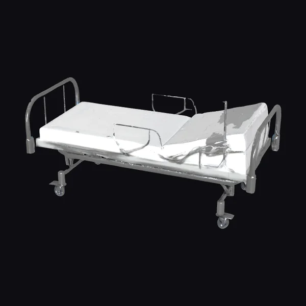 Adjustable Hospital Bed