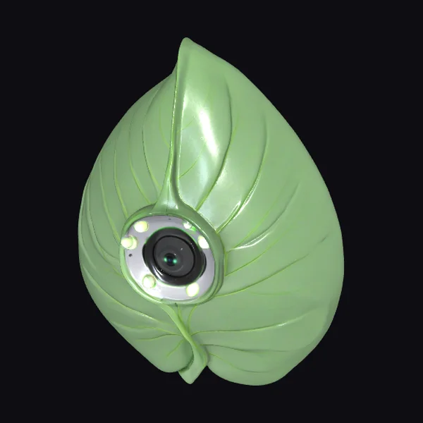 Leaf Shaped Plant Detector