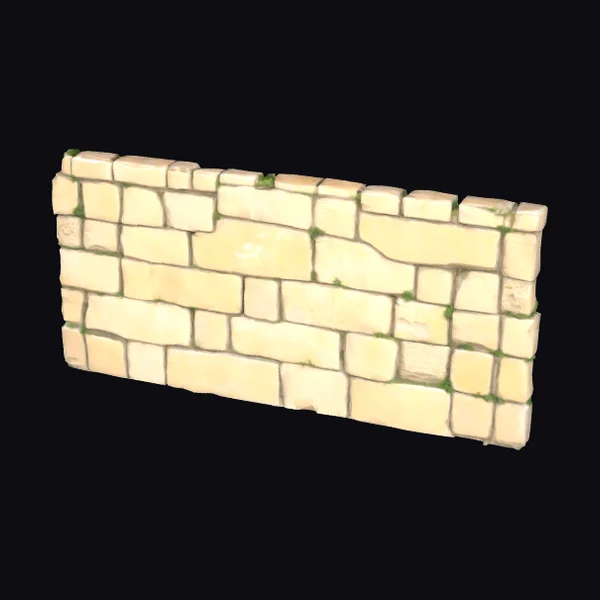 Ancient Limestone Wall Section