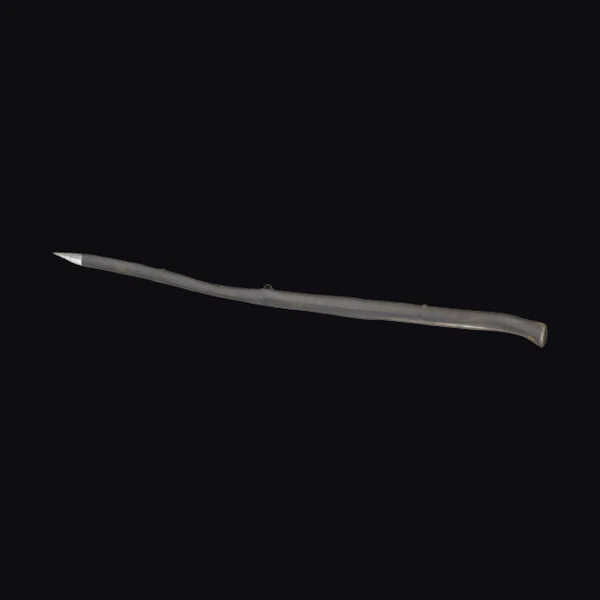 Wooden Spear