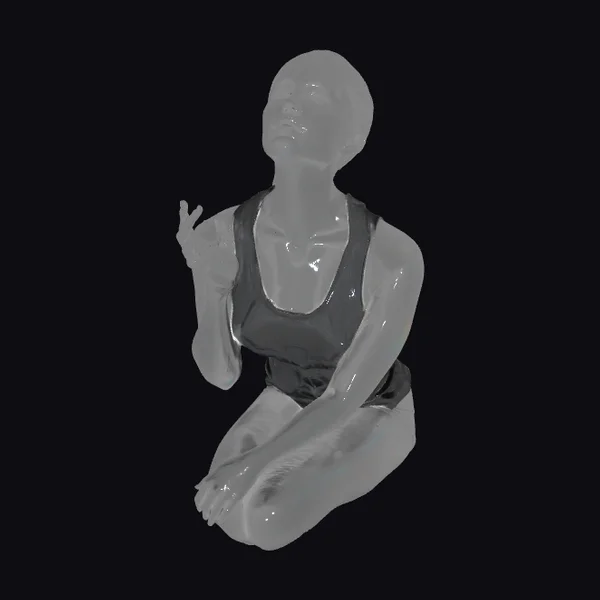 Glossy Female Figure