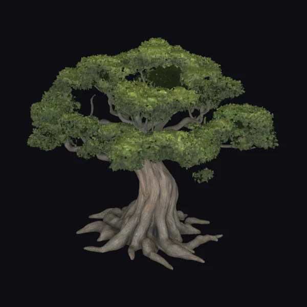 Ancient Tree with Exposed Roots