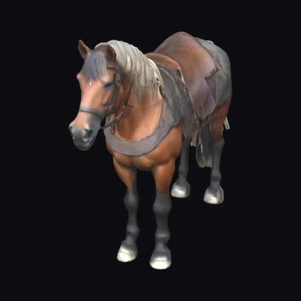 Muscular Brown Horse