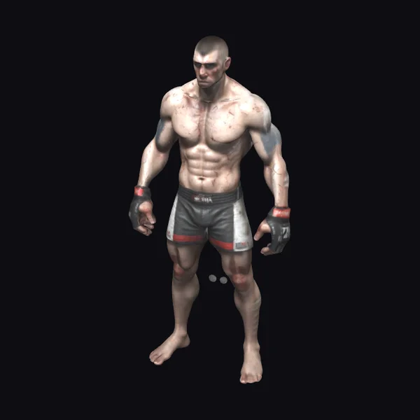 Battered MMA Fighter