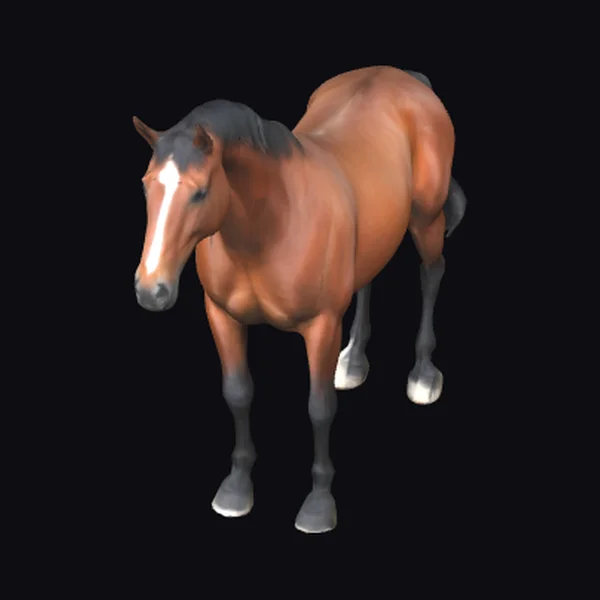 Brown Horse with Black Mane