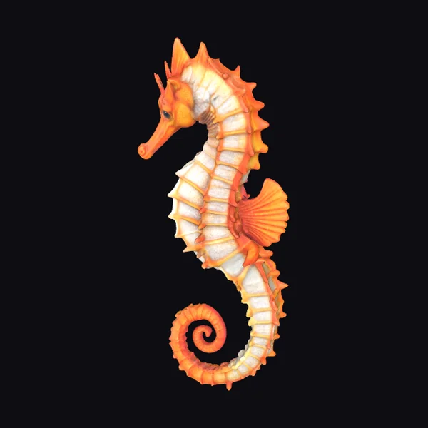 Orange Seahorse