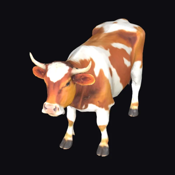 Brown White Spotted Cow