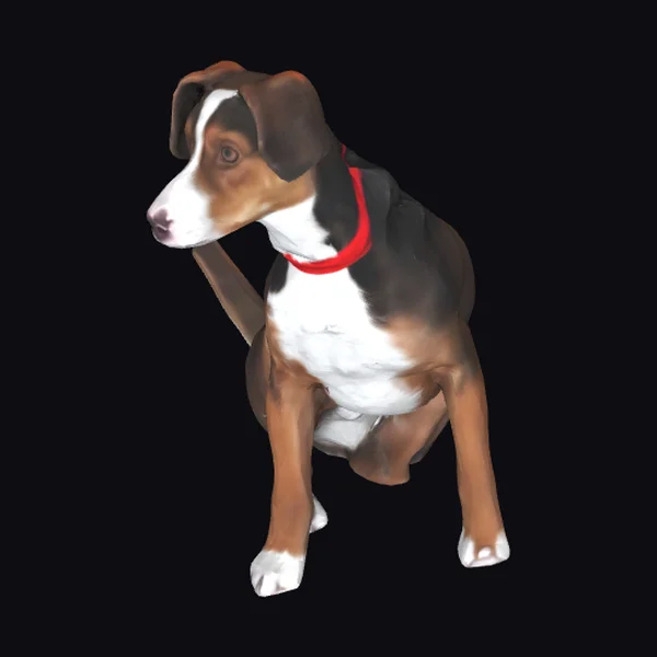 Brown White Dog Sitting