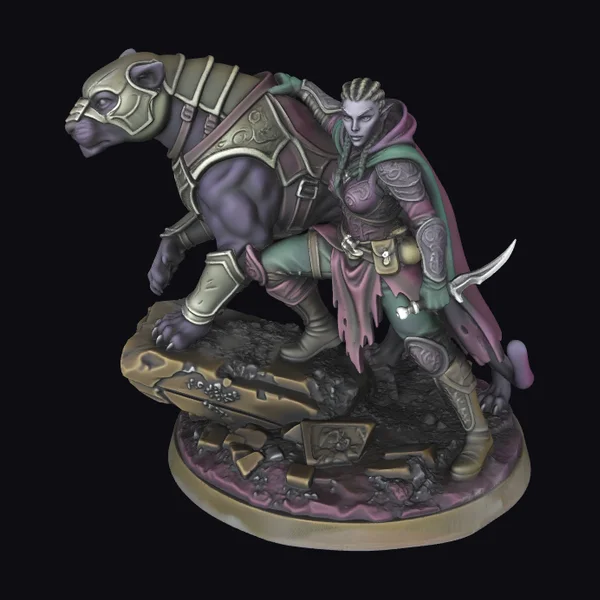 Warrior with Panther Companion