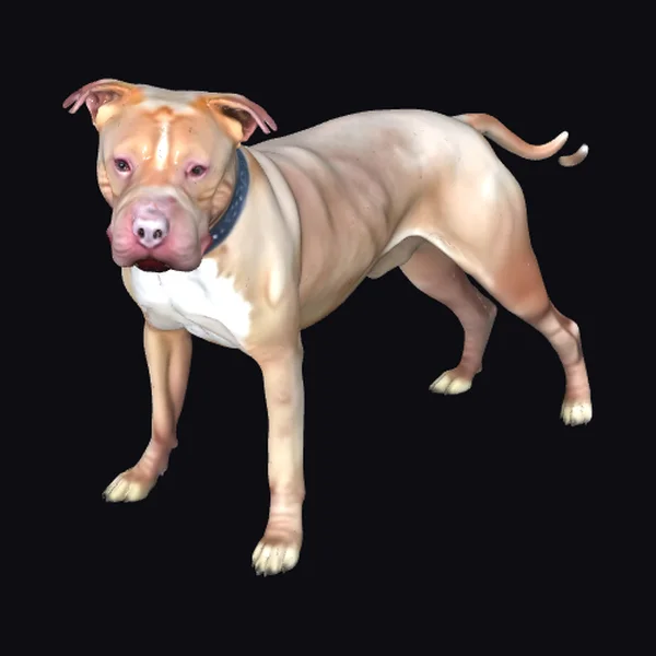 Tan Pitbull Dog