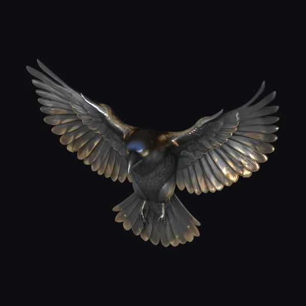 Spreading Dark Bird Wings