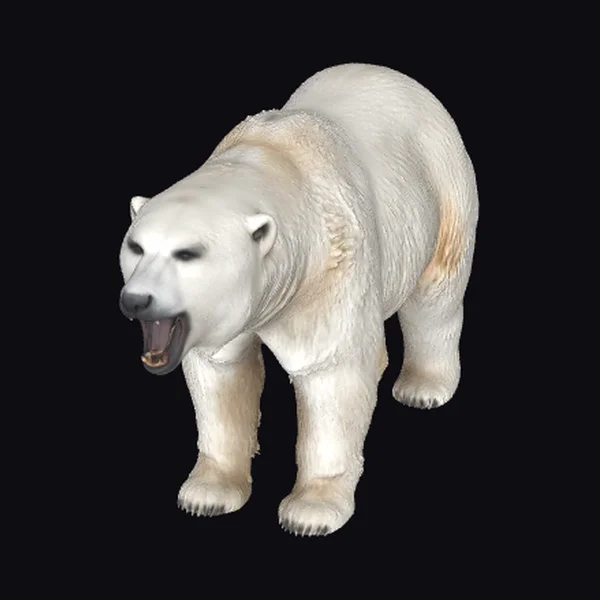Furious Polar Bear