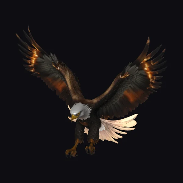 Eagle in Fiery Descent