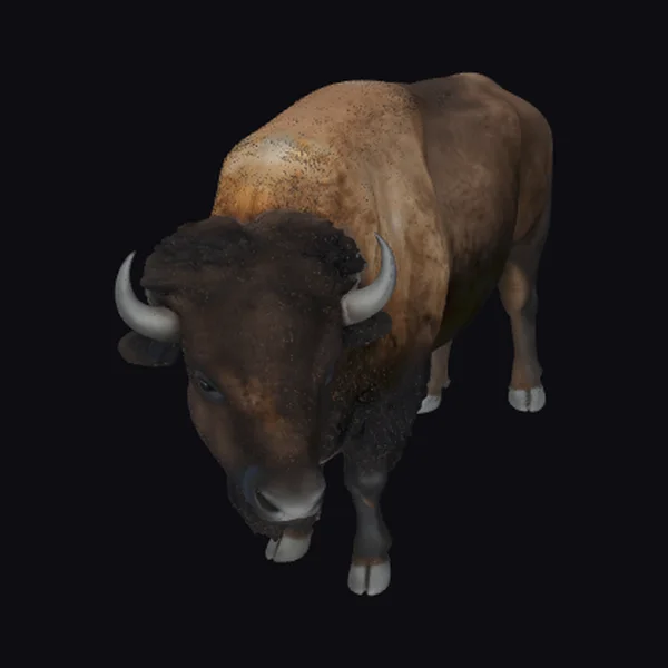 Large Brown Bison