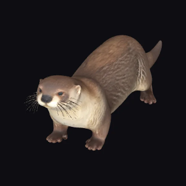 River Otter Animal