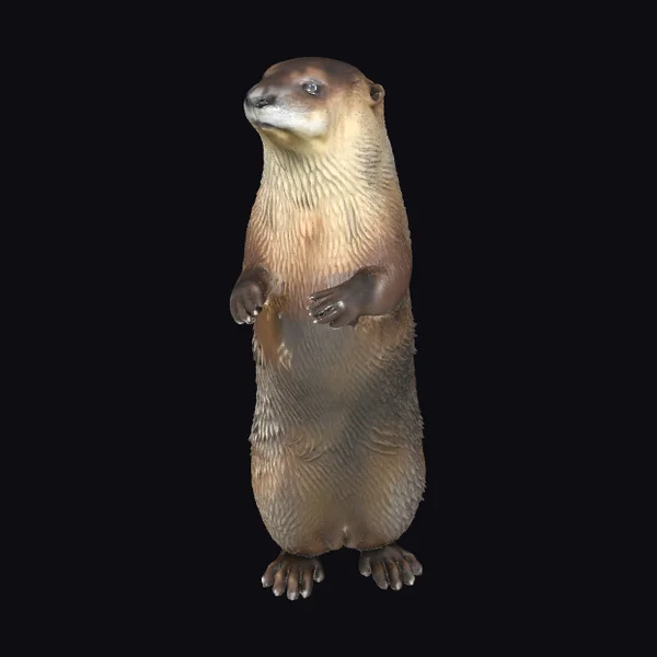 River Otter Standing