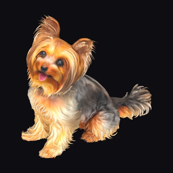 Sitting Yorkshire Terrier