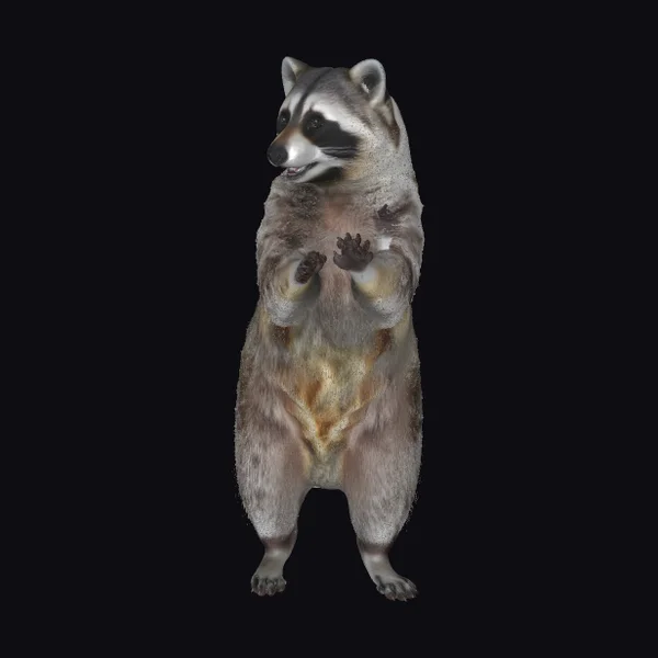 Bipedal Raccoon Portrait