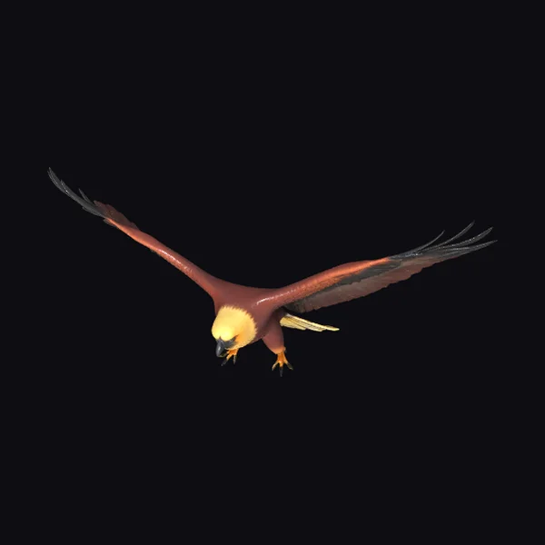 Flying Eagle with Spread Wings