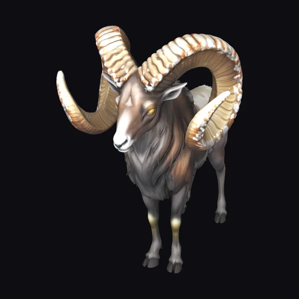 Majestic Horned Cliff Ram