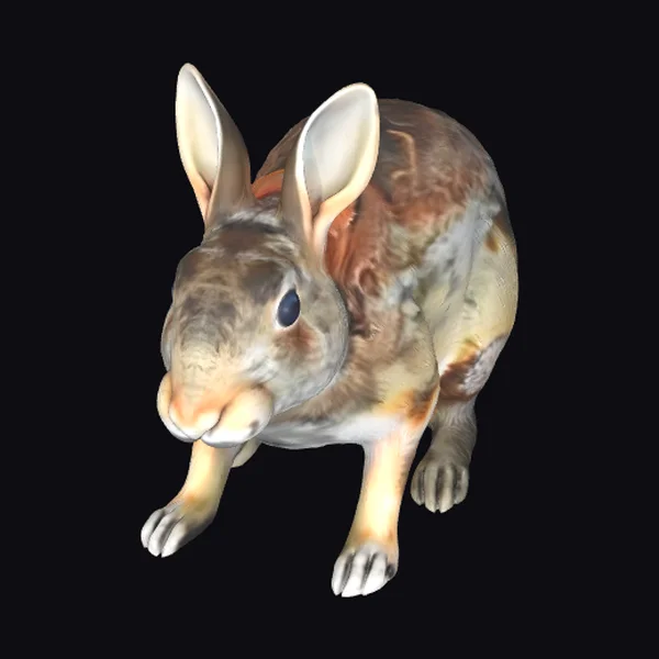 Brown Rabbit with Ears Up