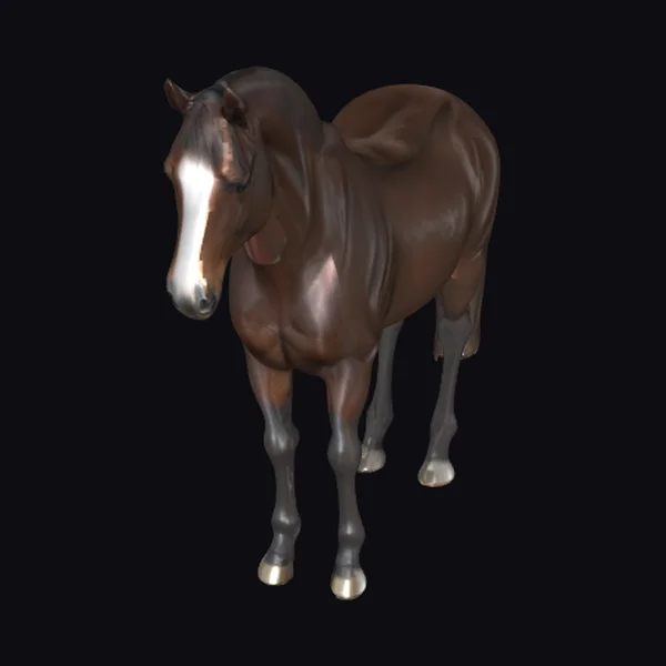 Brown Horse with White Mark