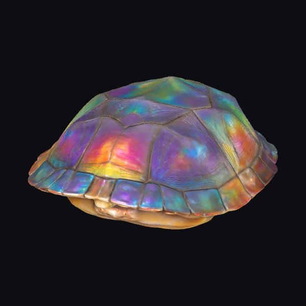 Prismatic Turtle Shell